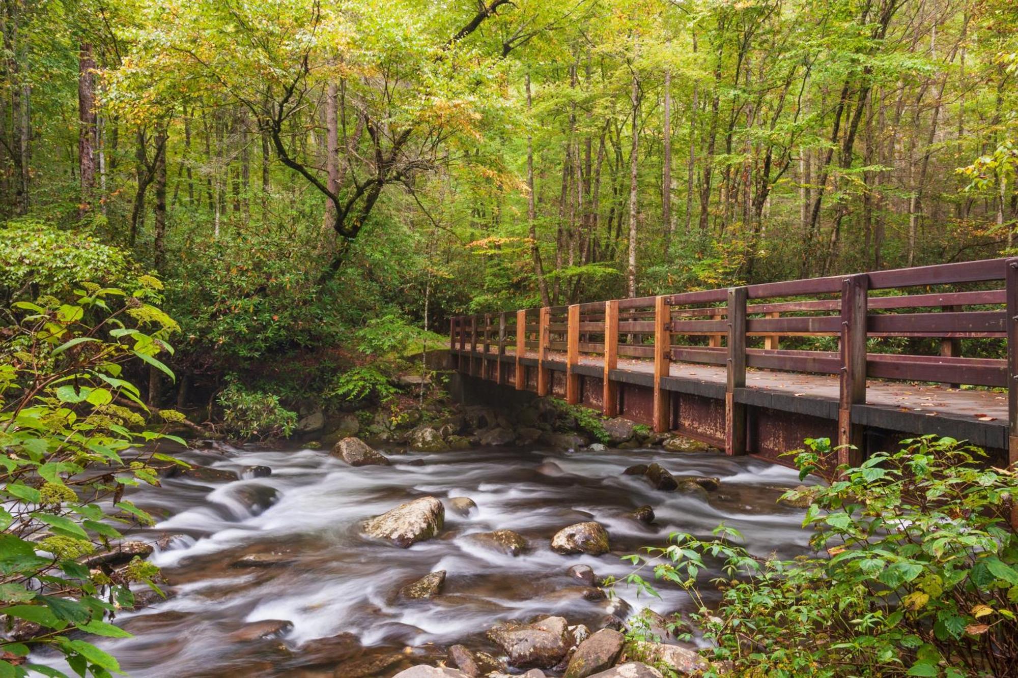 Whispering Winds, Hot Tub, Game Room, Wifi, 1089 Free Tickets Each Paid Day, Dollywood And More Gatlinburg Exterior foto